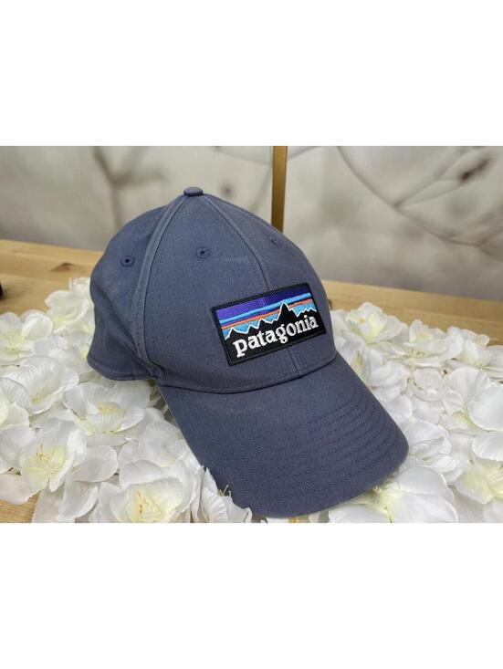 Patagonia Other - Patagonia Cap
